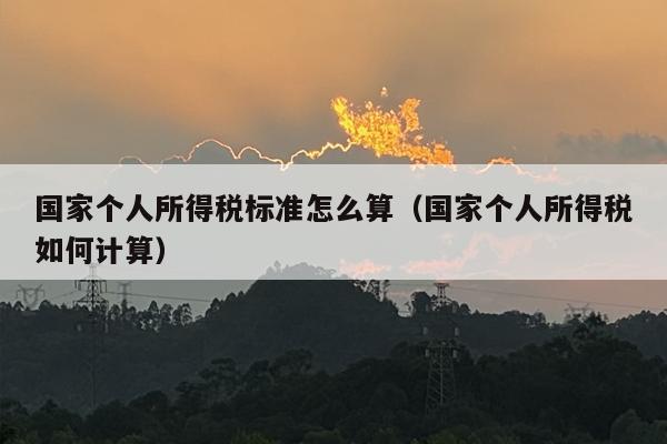 国家个人所得税标准怎么算（国家个人所得税如何计算）