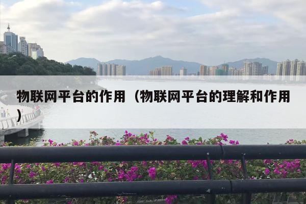 物联网平台的作用（物联网平台的理解和作用）