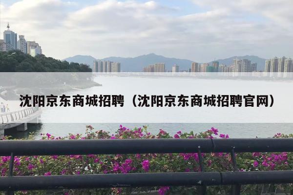 沈阳京东商城招聘（沈阳京东商城招聘官网）