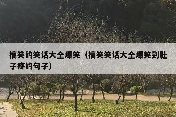 搞笑的笑话大全爆笑（搞笑笑话大全爆笑到肚子疼的句子）