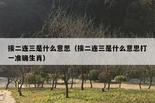 接二连三是什么意思（接二连三是什么意思打一准确生肖）