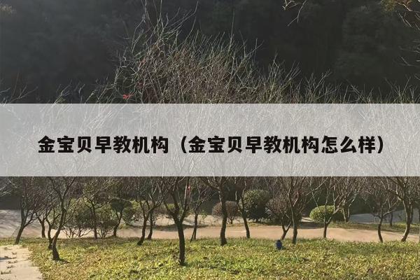 金宝贝早教机构（金宝贝早教机构怎么样）