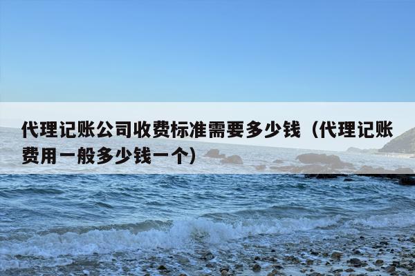 代理记账公司收费标准需要多少钱（代理记账费用一般多少钱一个）