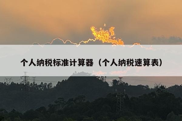 个人纳税标准计算器（个人纳税速算表）