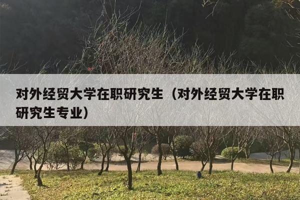 对外经贸大学在职研究生（对外经贸大学在职研究生专业）