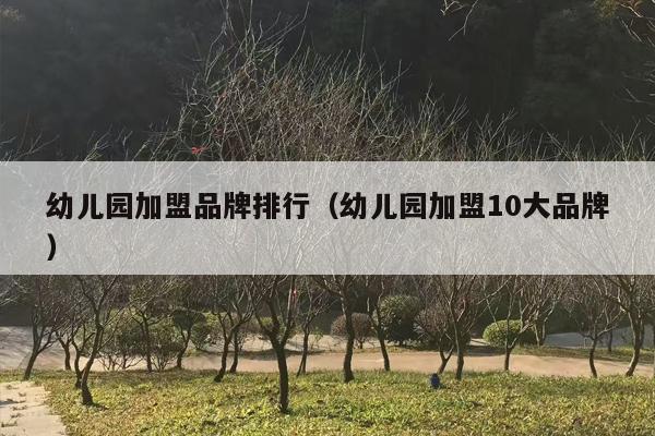 幼儿园加盟品牌排行（幼儿园加盟10大品牌）