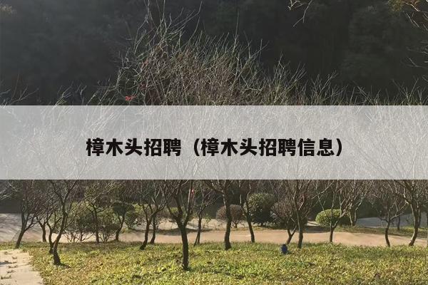 樟木头招聘（樟木头招聘信息）