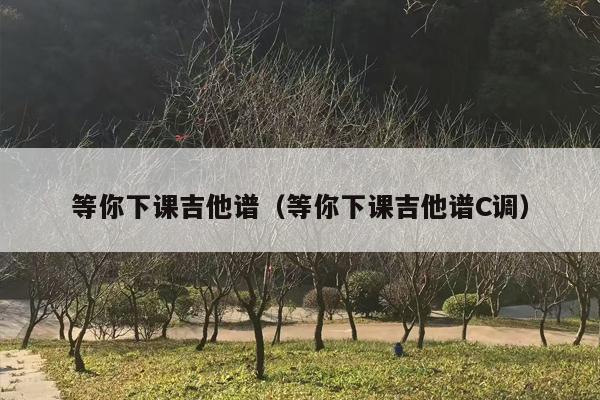 等你下课吉他谱（等你下课吉他谱C调）