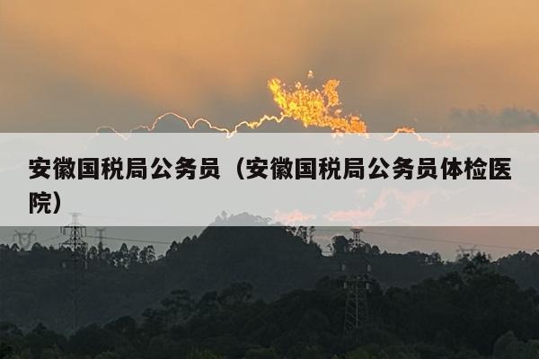 安徽国税局公务员（安徽国税局公务员体检医院）