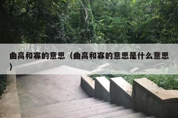 曲高和寡的意思（曲高和寡的意思是什么意思）