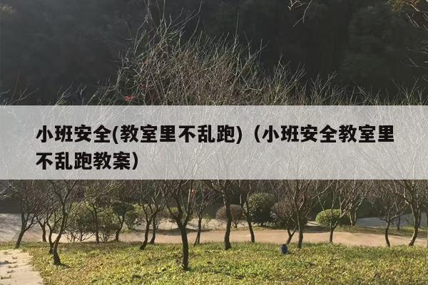 小班安全(教室里不乱跑)（小班安全教室里不乱跑教案）