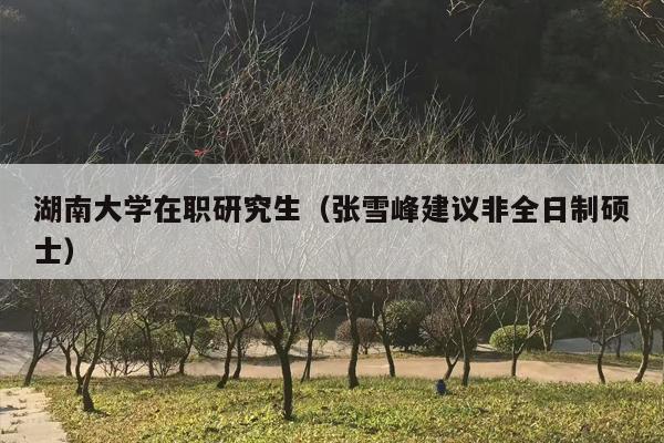 湖南大学在职研究生（张雪峰建议非全日制硕士）