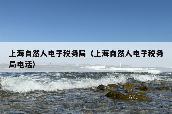 上海自然人电子税务局（上海自然人电子税务局电话）
