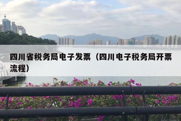 四川省税务局电子发票（四川电子税务局开票流程）