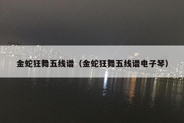 金蛇狂舞五线谱（金蛇狂舞五线谱电子琴）