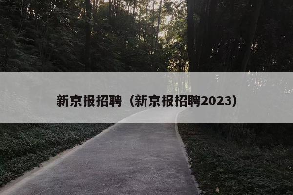 新京报招聘（新京报招聘2023）