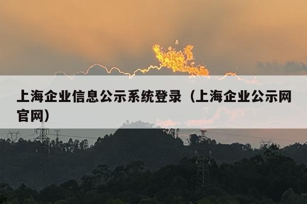上海企业信息公示系统登录（上海企业公示网官网）
