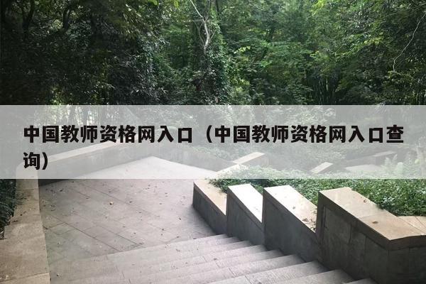 中国教师资格网入口（中国教师资格网入口查询）
