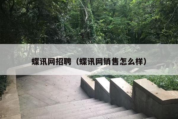 蝶讯网招聘（蝶讯网销售怎么样）
