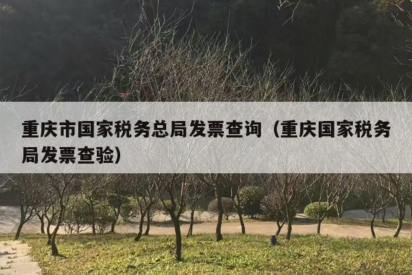 重庆市国家税务总局发票查询（重庆国家税务局发票查验）