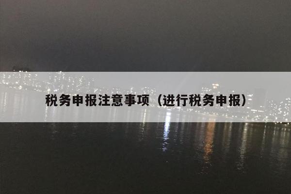 税务申报注意事项（进行税务申报）