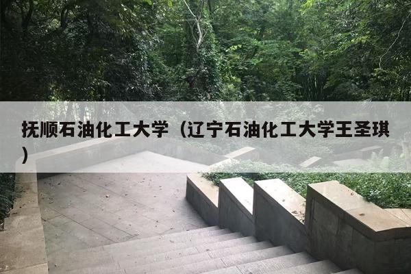 抚顺石油化工大学（辽宁石油化工大学王圣琪）