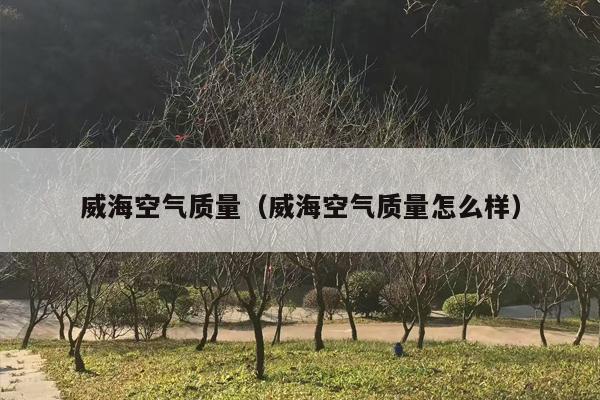 威海空气质量（威海空气质量怎么样）