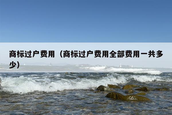 商标过户费用（商标过户费用全部费用一共多少）