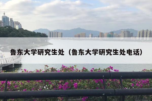 鲁东大学研究生处（鲁东大学研究生处电话）